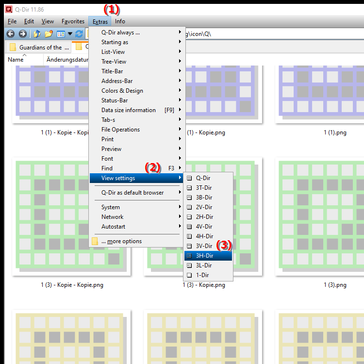 What is the 3H Dir view in the quad file explorer Q Dir